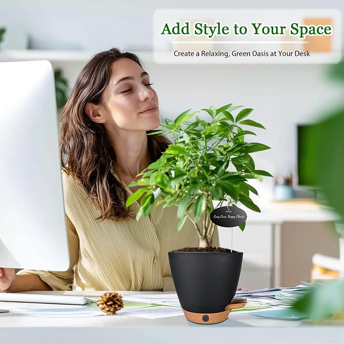 6" Self Watering Pots for Indoor Plants, Small Plastic Planters | Water Level - Image 3