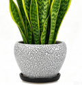 Deep Dream 8 Inch Plant Pots- Ceramic Pots by DeepDream