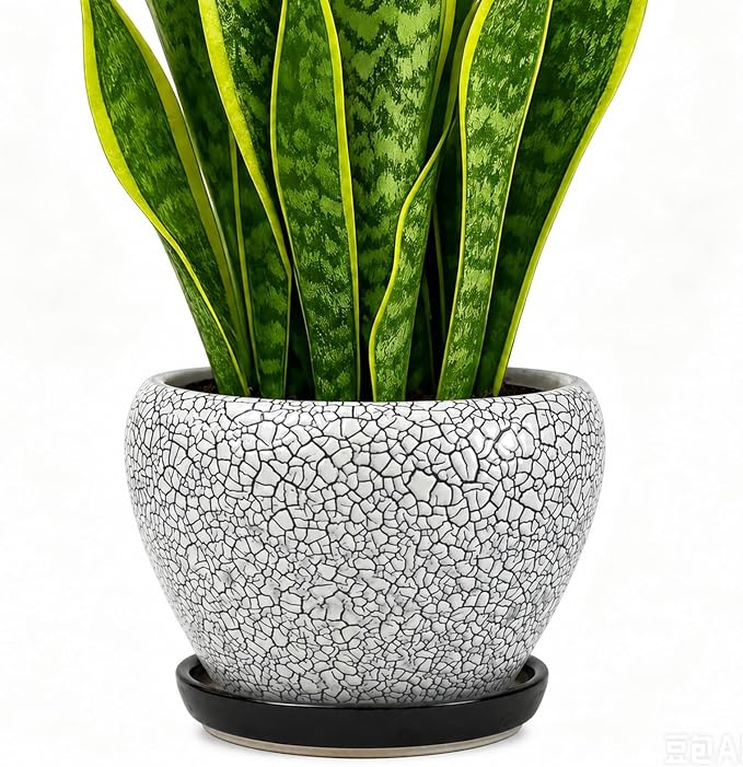 Deep Dream 8 Inch Plant Pots- Ceramic Pots by DeepDream