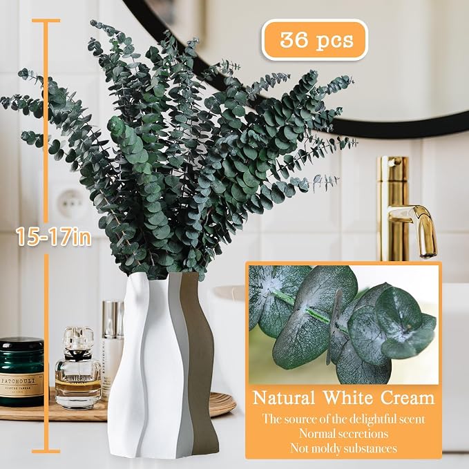 36 PCS Dried Eucalyptus for Shower Hanging 17 Preserved Eucalyptus Stems | - Image 6