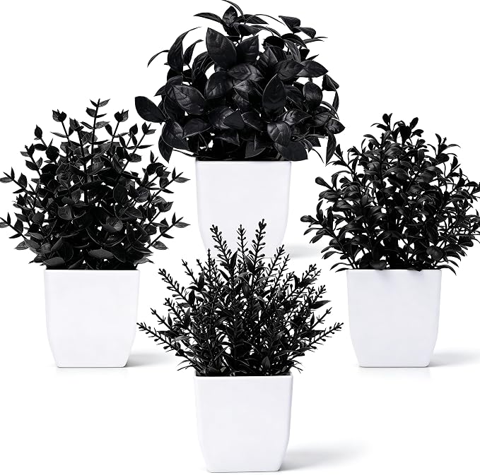 Der Rose 4 Pack Black Artificial Plants by DerRose