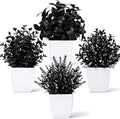 Der Rose 4 Pack Black Artificial Plants by DerRose