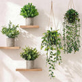 Artificial Hanging Plants 5 Pack – Small Fake Potted Ivy Plants by Unknown