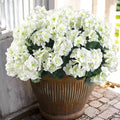 Hananona 12 Pcs Artificial Geranium Flowers by HANANONA