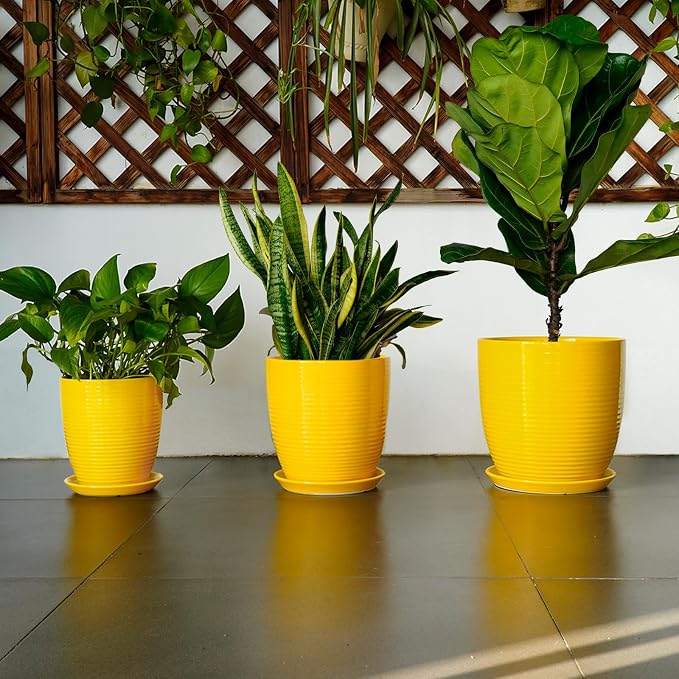 12 Inch Pots for Plants - Image 7