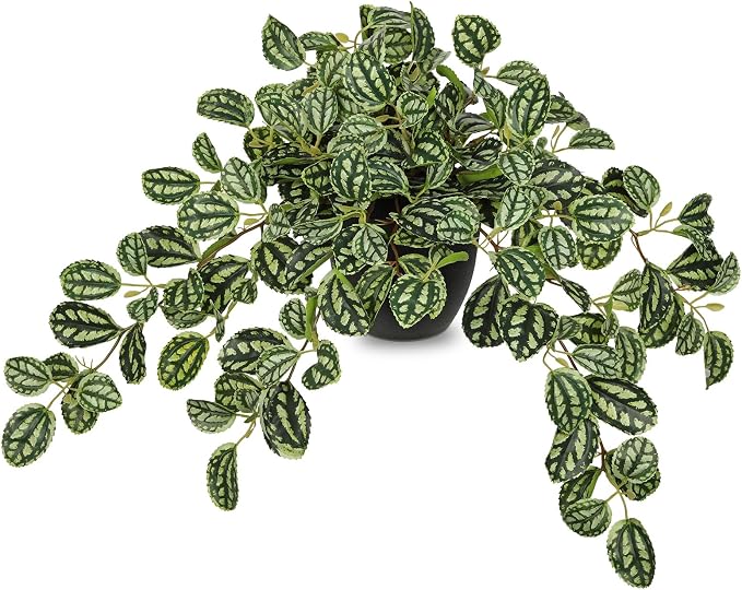 Briful Artificial Potted Plant Indoor, 19.6" Faux Watermelon Peperomia Trailing by Briful