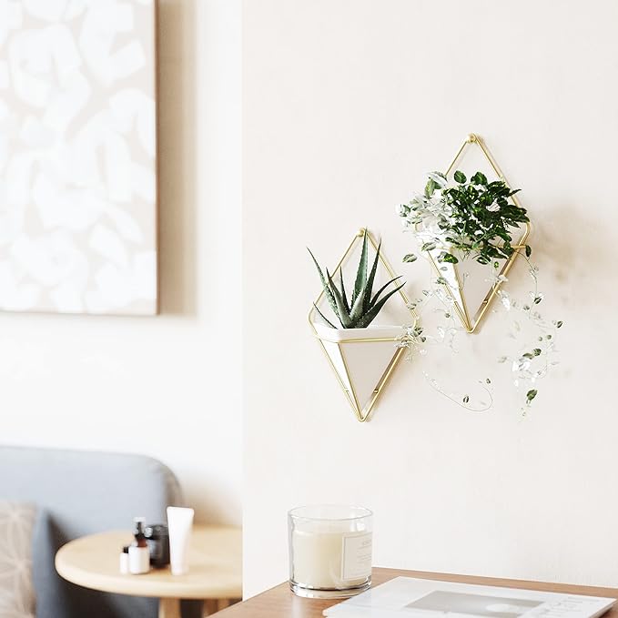 Umbra Trigg Hanging Planter for Small Plants - Image 2