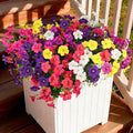 INQCMY Artificial Fake Petunias Flowers by INQCMYPlantRack