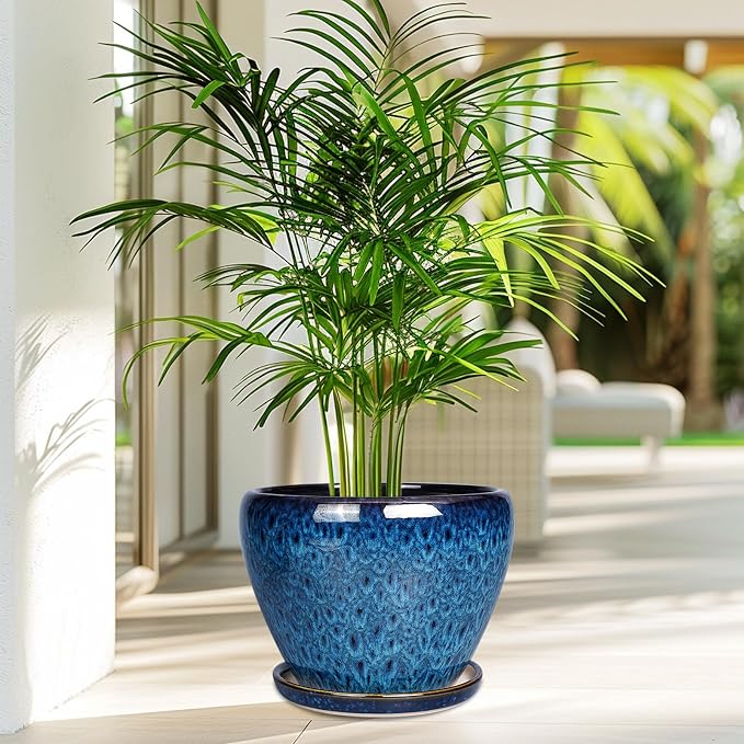 Ceramicfor 10 Inch Ceramic Planter Pot, Ceramic Plant Pot - Image 7
