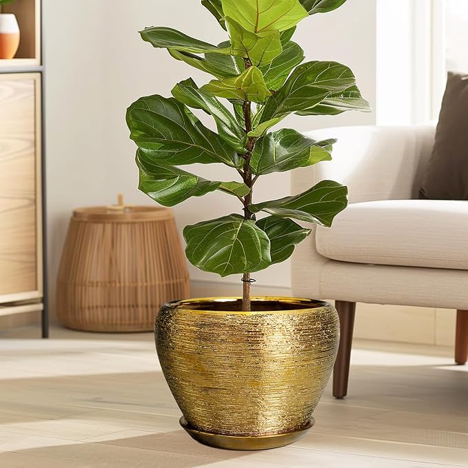 Ceramicfor Ceramic Planter 10 Inch - Image 2