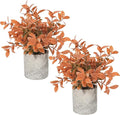 Velener Small Fake Eucalyptus Plant Artificial Potted Plants Indoor by Velener