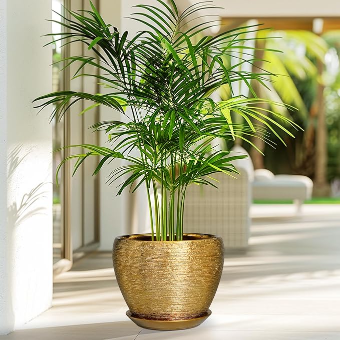 Ceramicfor Ceramic Plant Pot 8 Inch - Image 2