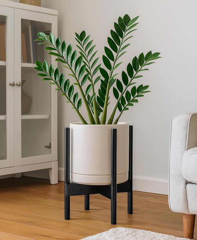 D'vine Dev Ceramic Pot with Ebony Wood Stand, 10 in, 55-B-L-8 | Mid-Century - Image 4