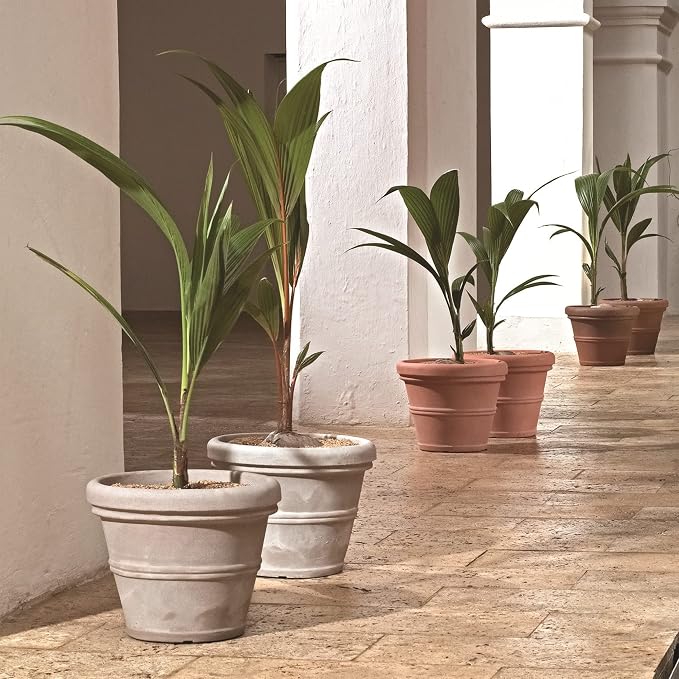 Crescent Garden Brunello Classic Rolled Rim Planter Pot, Indoor/Outdoor - Image 3