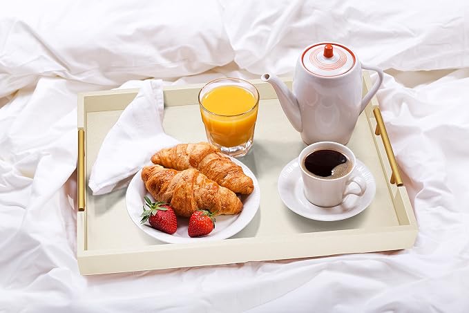ATZYmolin 17"x12" Leather Serving Tray, Polished Metal Handles, Coffee Table - Image 7