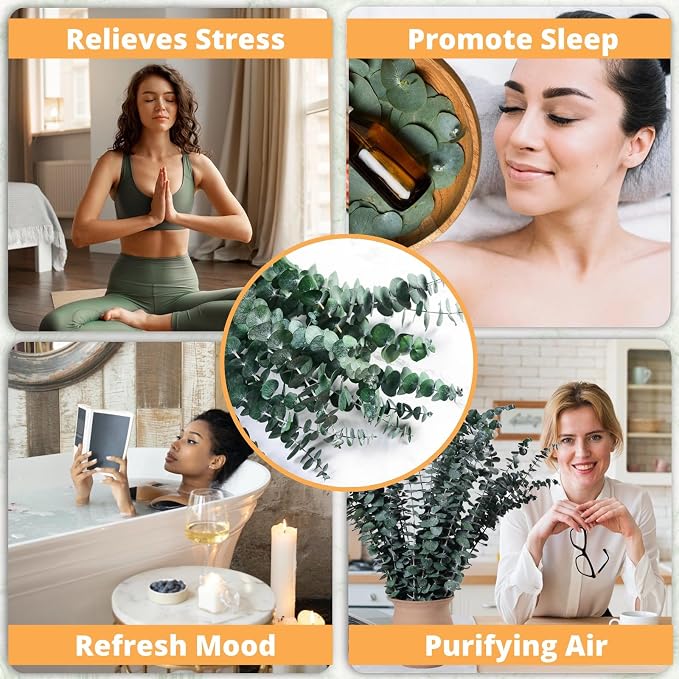 12PCS Dried Eucalyptus for Shower Hanging Real Preserved Eucalyptus Stems | - Image 4