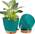 2 Pack 8 inch Plant Pots, Plastic Self Watering Planters | Drainage Holes by Fielda