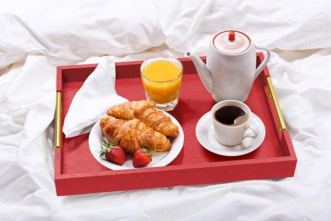 ATZYmolin 17"x12" Leather Serving Tray, Polished Metal Handles, Coffee Table - Image 8