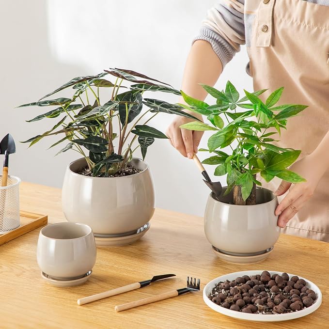 vancasso 3-Pack Ceramic Plant Pots, 3.7/4.8/6.2 Inch Indoor Planters - Image 4