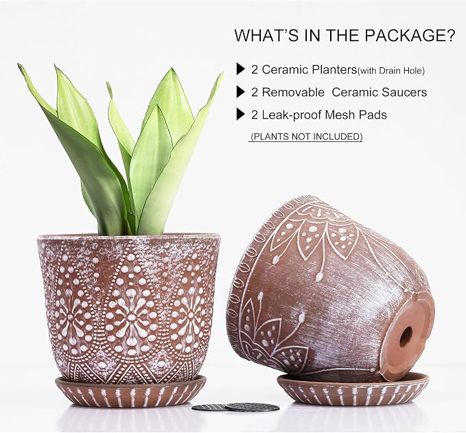 Gepege Ceramic Plant Pots, 6 Inch Indoor Planters - Image 3