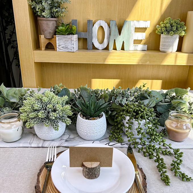 Winlyn 3 Pcs Assorted Small Potted Succulent Plants Artificial Aloe Hanging - Image 7
