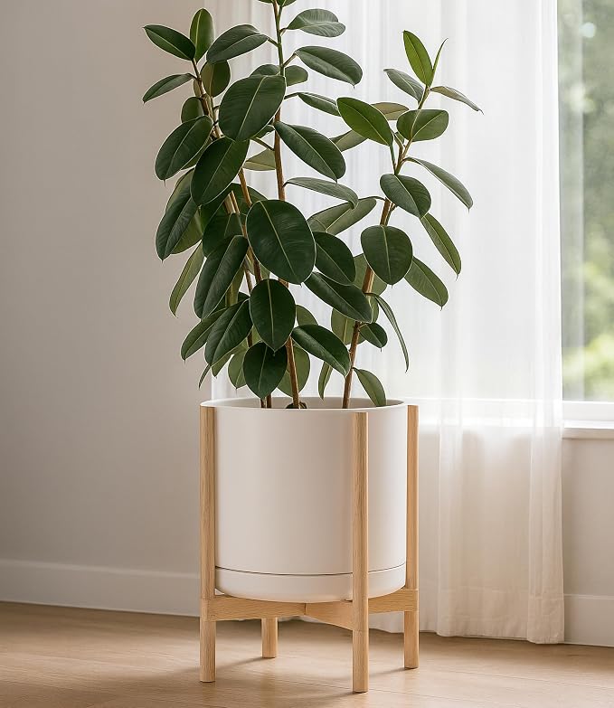 D'vine Dev Ceramic Pot with Natural Wood Stand, 14 in, 55-B-R-8 | Mid-Century - Image 2