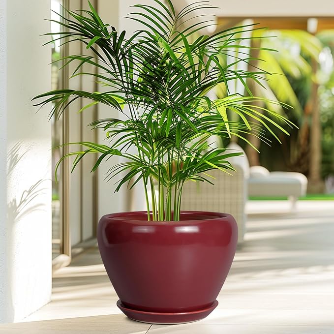 Ceramicfor 10 Inch Plant Pot, Ceramic Planter, Large Planter - Image 4