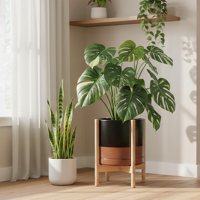 D'vine Dev Ceramic Pot with Natural Wood Stand, 14 in, 55-B-R-7 | Mid-Century - Image 4