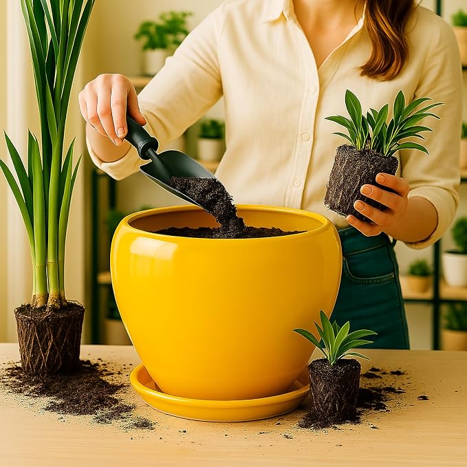 Deep Dream 10 Inch Plant Pot- Ceramic Planter Pot Round Plant Pots - Image 6