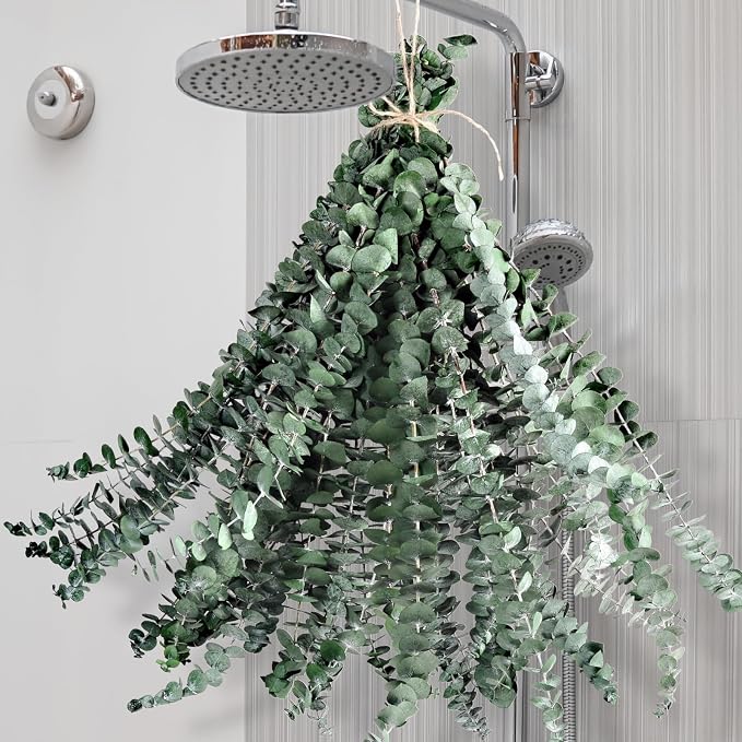 24 PCS Dried Eucalyptus for Shower Hanging 17 Preserved Eucalyptus Stem | Green by Koceko