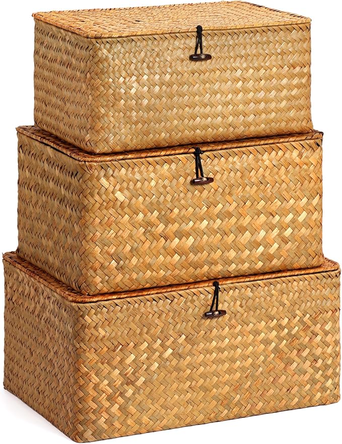 Nonam Large Wicker Basket with Lid, Seagrass Shelf Basket Set of 3, Nautral | by Home