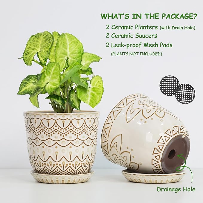 Gepege Ceramic Plant Pots, 6 Inch Indoor Planters - Image 3