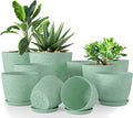 Plant Pots Indoor with Drainage 10 Pack Multi-Size Planters Set Spotty Mint | by UTOPIAHOME