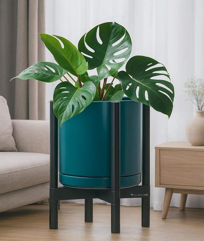D'vine Dev Ceramic Pot with Ebony Wood Stand, 12 in, 55-B-H-4 | Mid-Century - Image 6