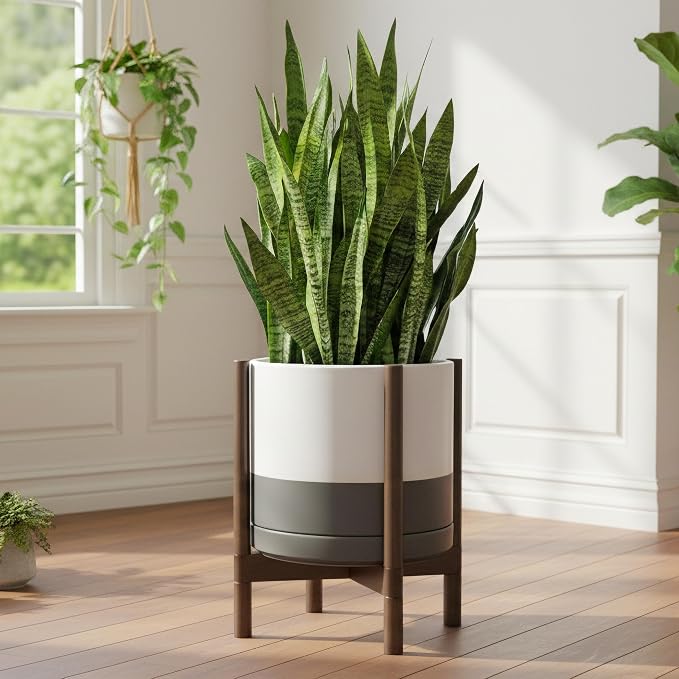 D'vine Dev Ceramic Pot with Walnut Wood Stand, 14 in, 55-B-T-6 | Mid-Century - Image 2
