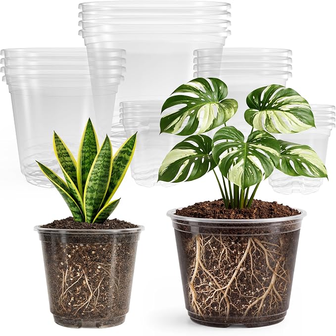 Bluepro Clear Nursery Pots by Bluepro