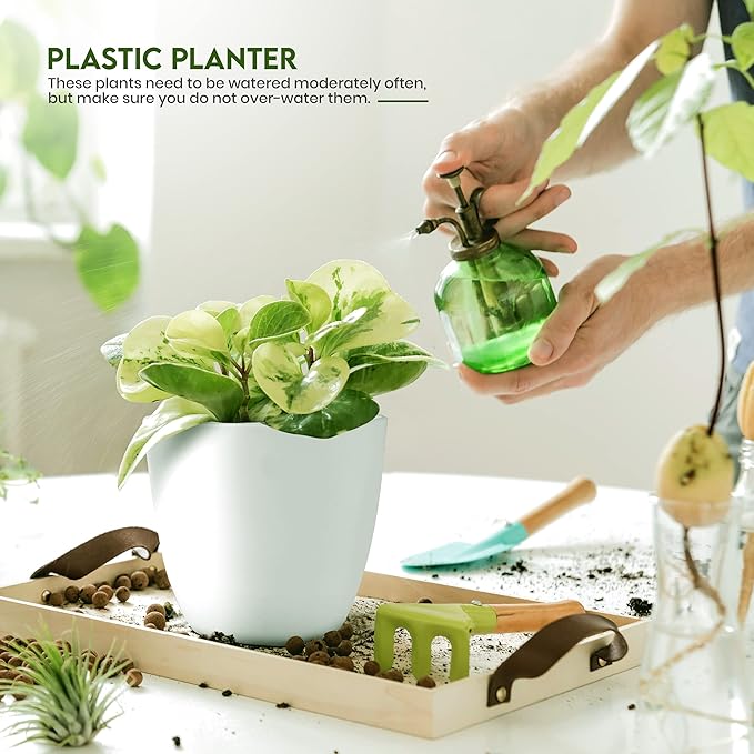 Plant Pots Indoor with Drainage, 5 Pack Multi-Size Planters Set - Image 4