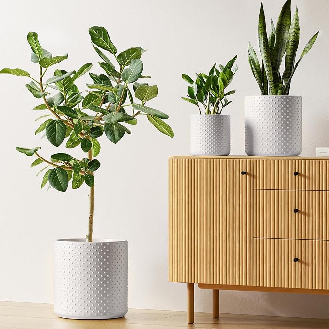 LE TAUCI 10+8+6 Inch Ceramic Pots - Image 3
