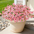 16PCS Artificial Pink Flowers for Outdoors, Fake Silk Pink Flowers | for by AmberFun