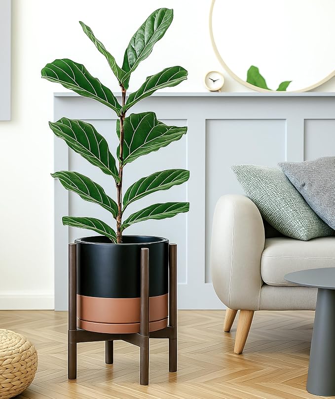 D'vine Dev Ceramic Pot with Walnut Wood Stand, 12 in, 55-B-W-7 | Mid-Century - Image 4
