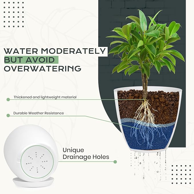 Plant Pots Indoor with Drainage, 10 Pack Multi-Size Planters Set - Image 3