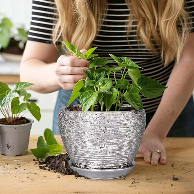 Ceramicfor Ceramic Planter - Image 7