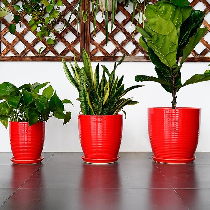 Ceramic Pot for Plants - Image 7