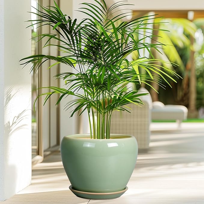 Ceramicfor 8 Inch Plant Pot - Image 4