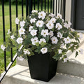 Ammyoo 2PCS Artificial Petunias Flowers Fake Plants by Ammyoo