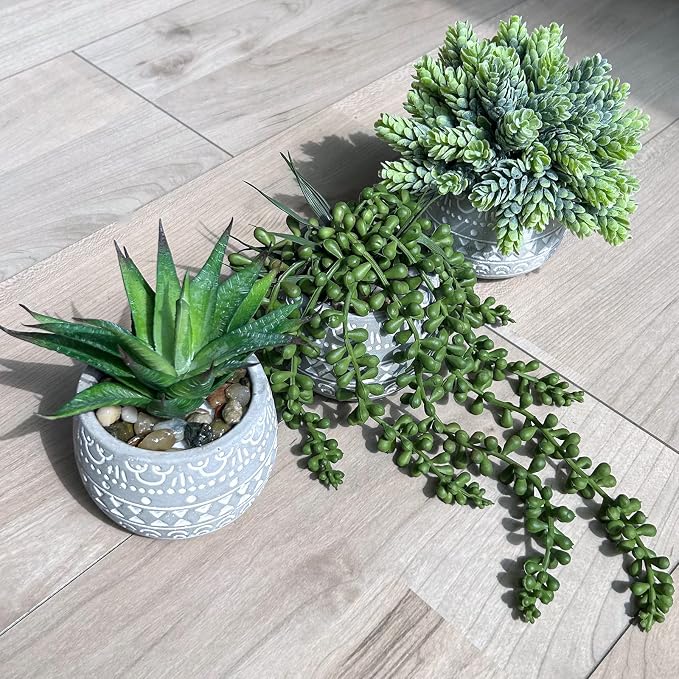 Winlyn 3 Pcs Assorted Small Potted Succulent Plants Artificial Aloe Hops String - Image 7