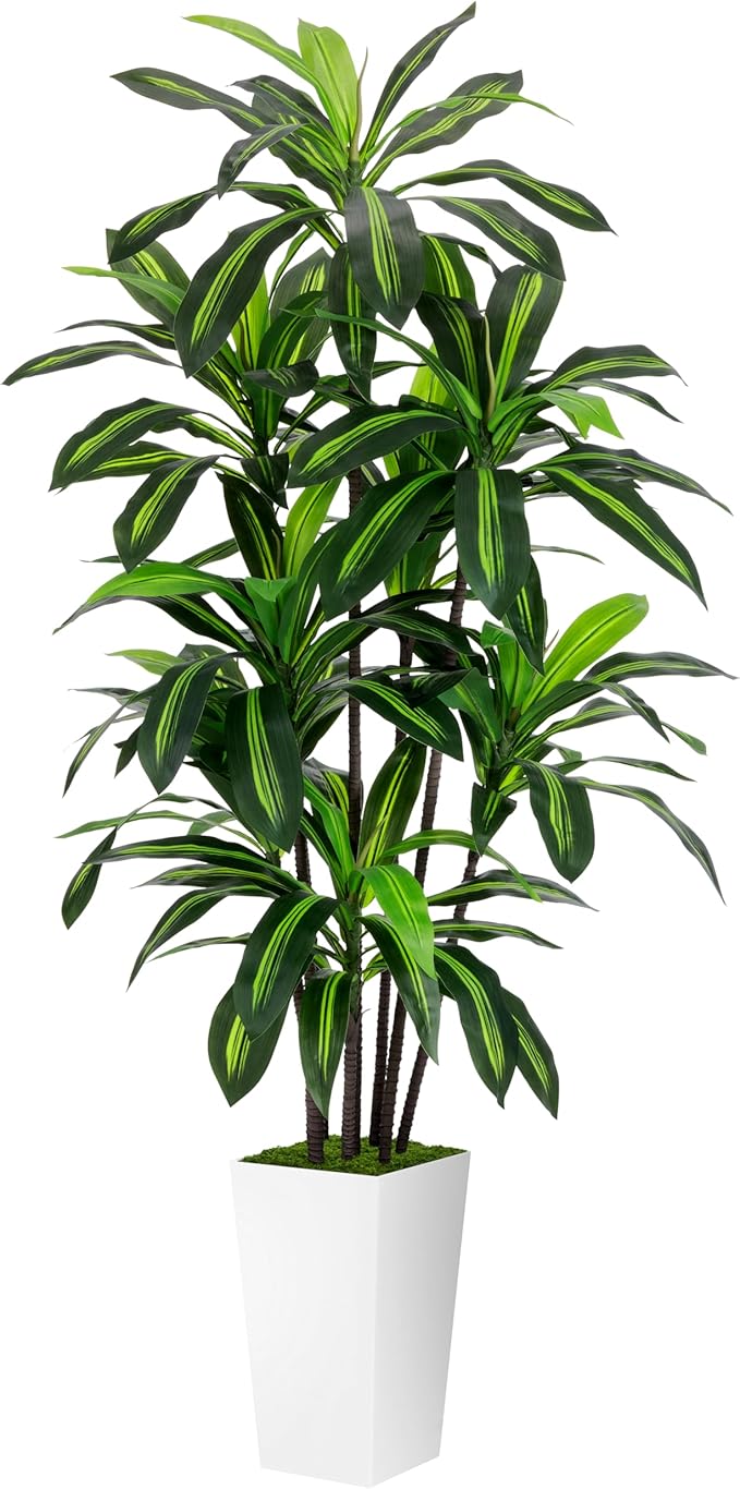 Artificial Dracaena Plant 6FT by ASTIDY