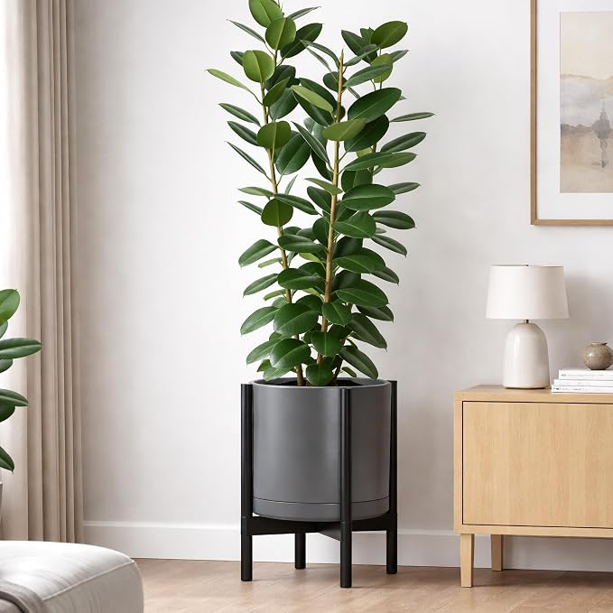 D'vine Dev Ceramic Pot with Ebony Wood Stand, 14 in, 55-B-S-3 | Mid-Century - Image 7