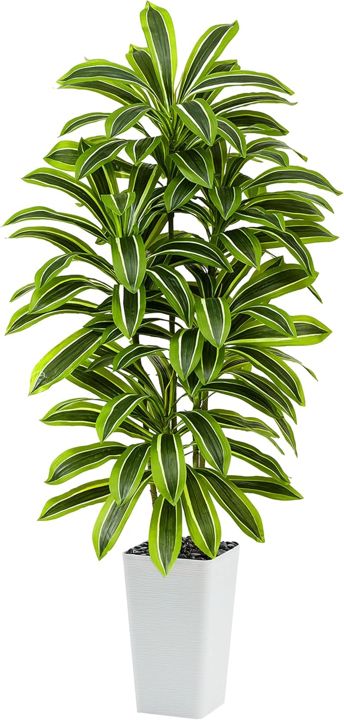 Artificial Dracaena Tree: 6FT Fake Plants Silk Faux Trees（White Pot） | by TNGGNT
