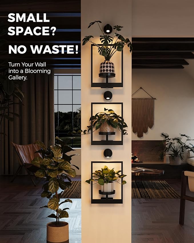 Bamworld Hanging Planters for Indoor Plants Wall Decor Living Room Light | - Image 3